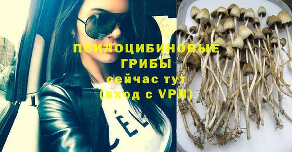 mdpv Нефтегорск