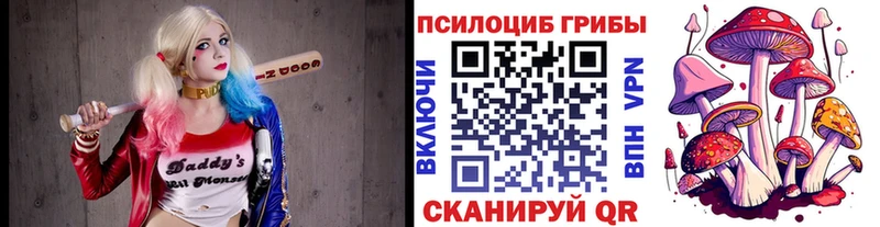 Псилоцибиновые грибы Magic Shrooms  Купить  Кондрово 